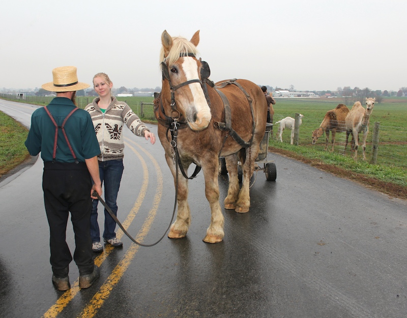 Liz speaking to a farmer